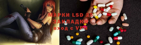 мдпв Елабуга