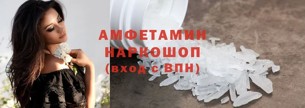 гидра Елизово