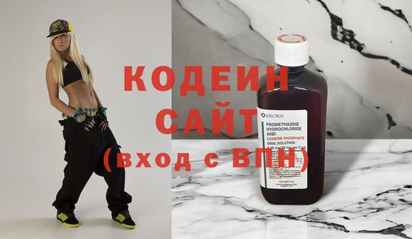 мдпв Елабуга