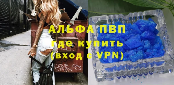гидра Елизово