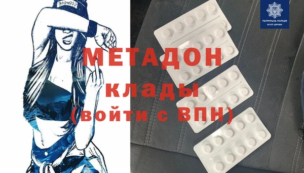 гидра Елизово