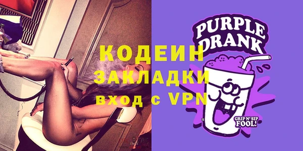 мдпв Елабуга