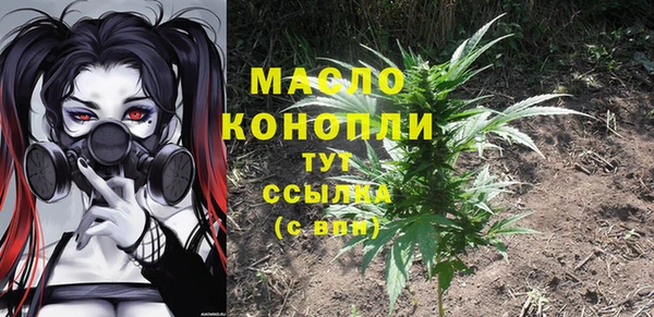 гидра Елизово