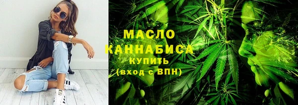 мдпв Елабуга