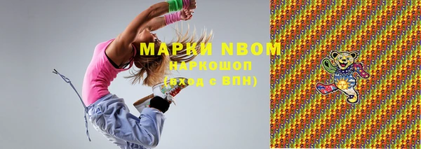 мдпв Елабуга
