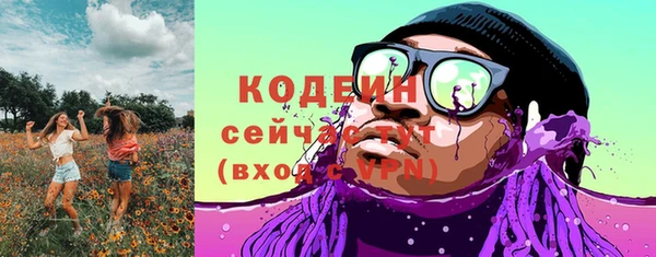 гидра Елизово