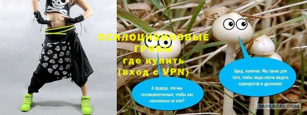 мдпв Елабуга