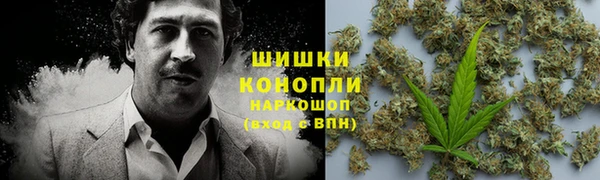 гидра Елизово