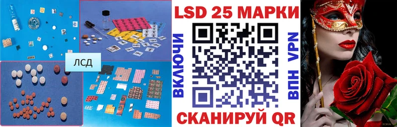 дарнет шоп Канаш Лсд 25 экстази ecstasy