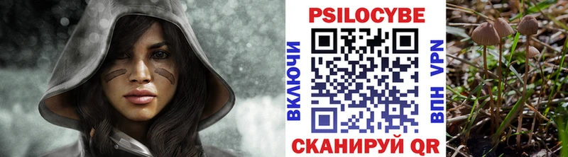 где купить   Канаш  Галлюциногенные грибы Psilocybe 
